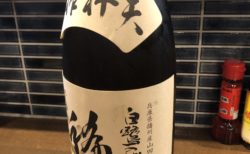 新しい日本酒のラインナップ